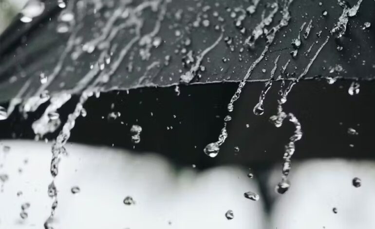 ശനിയാഴ്ച്ച മുതല്‍ ശക്തമായ മഴയ്ക്ക് സാധ്യത; വിവിധ ജില്ലകളില്‍ യെല്ലോ അലേര്‍ട്ട്