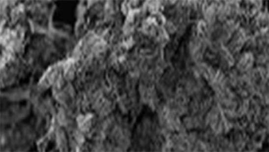 അഹമ്മദാബാദ് വിമാനത്താവളത്തിന് പുറത്ത് നിന്ന് വൻതോതിൽ ഹൈബ്രിഡ് കഞ്ചാവ് പിടികൂടി.