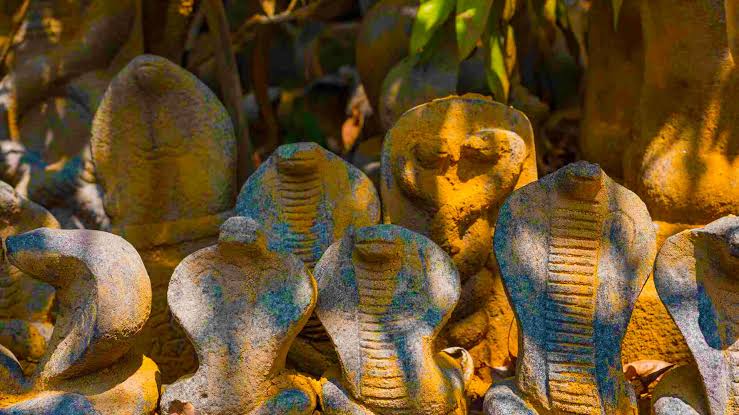 മണ്ണാറശ്ശാല ആയില്യം; ആലപ്പുഴ ജില്ലയിൽ സർക്കാർ ഓഫീസുകൾക്കും വിദ്യാഭ്യാസ സ്ഥാപനങ്ങൾക്കും 26 ന് അവധി