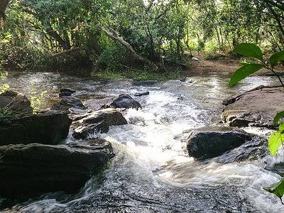 കുട്ടമ്പുഴയിൽ വനത്തിൽ പശുക്കളെ തിരഞ്ഞ് പോയ മൂന്ന് സ്ത്രീകളെ കാണാനില്ല .