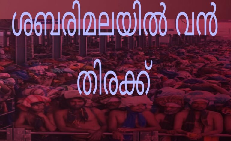ശബരിമലയിൽ വൻ തിരക്ക് ; പിടിവിടാതെ അസുഖങ്ങളും.