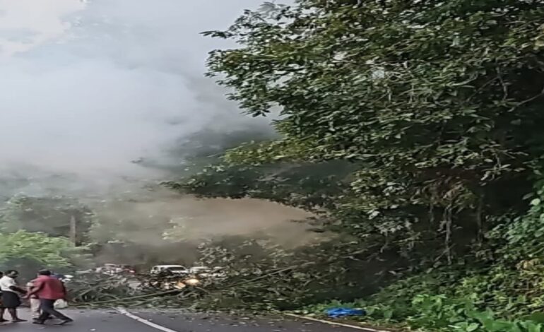 കോതമംഗലത്ത് ബൈക്കിൽ പോകുന്ന വിദ്യാർത്ഥികൾക്ക് നേരെ കാട്ടാന പന മറിച്ചിട്ടുണ്ടായ അപകടത്തിൽ പരിക്കേറ്റ വിദ്യാർത്ഥിനി മരിച്ചു