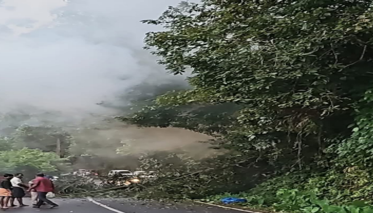 കോതമംഗലത്ത് ബൈക്കിൽ പോകുന്ന വിദ്യാർത്ഥികൾക്ക് നേരെ കാട്ടാന പന മറിച്ചിട്ടുണ്ടായ അപകടത്തിൽ പരിക്കേറ്റ വിദ്യാർത്ഥിനി മരിച്ചു