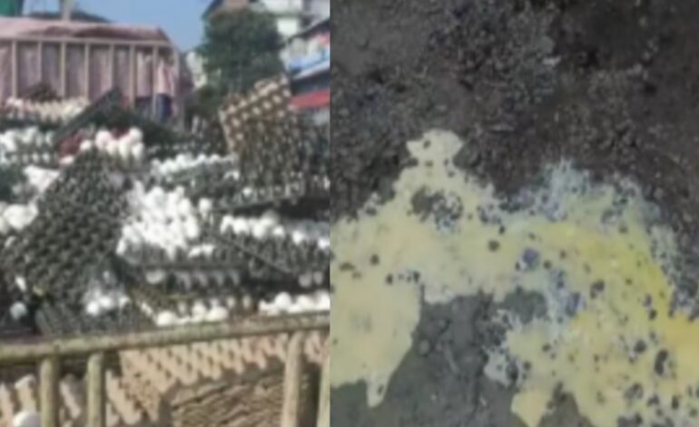 ആലുവയിൽ മുട്ട കയറ്റി വന്ന ലോറിയും കൂട്ടിയിടിച്ച് അപകടം