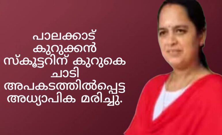 കുറുക്കൻ സ്കൂട്ടറിന് കുറുകെ ചാടി അപകടത്തിൽപ്പെട്ട അധ്യാപിക മരിച്ചു.