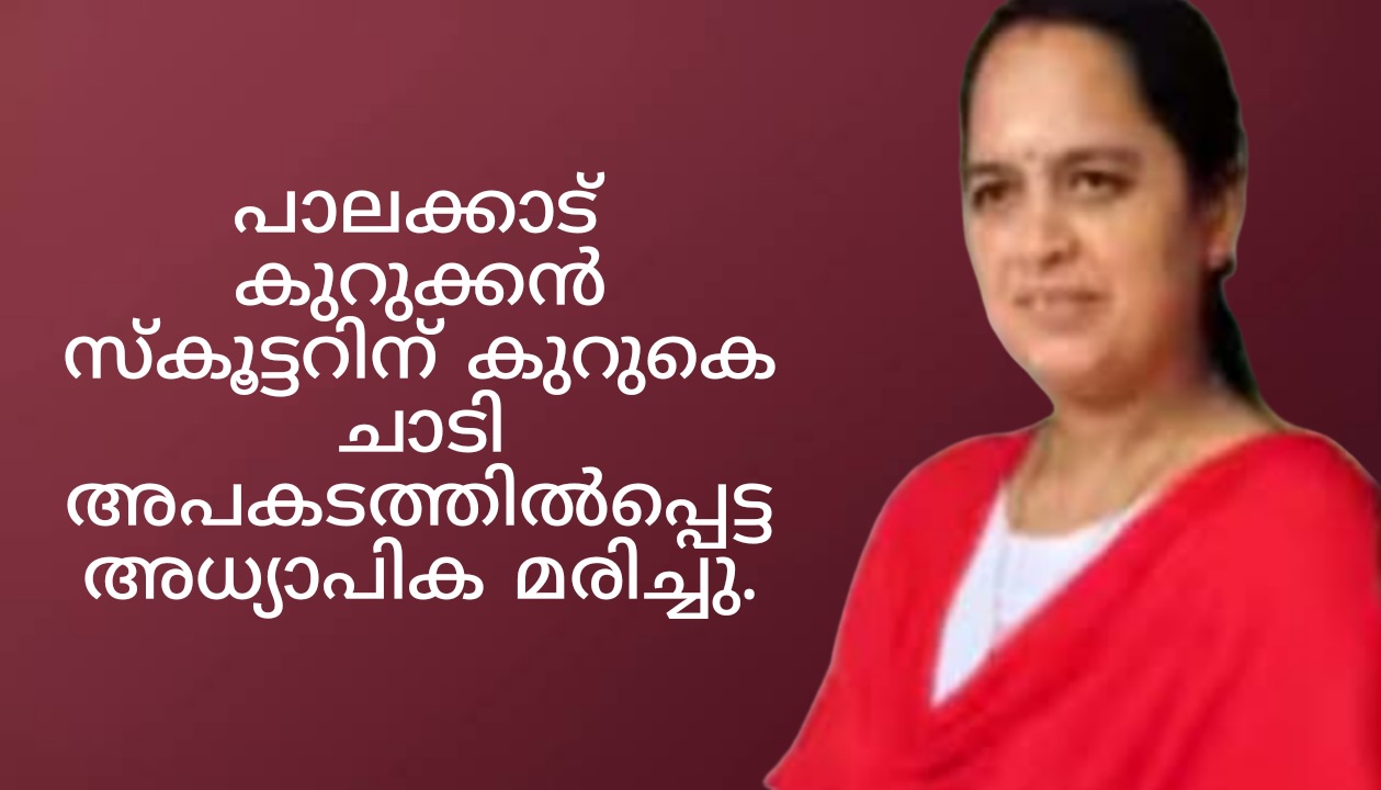 കുറുക്കൻ സ്കൂട്ടറിന് കുറുകെ ചാടി അപകടത്തിൽപ്പെട്ട അധ്യാപിക മരിച്ചു.