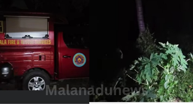 ചൂണ്ടയിടുന്നതിനിടെ  പെരിയാറിൽ കാണാതായ യുവാവിന്റെ ജഢം കണ്ടെത്തി