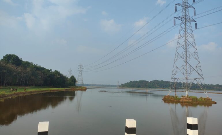 പെരിവേലിച്ചാൽ പുഞ്ചയിലെ നെൽ കർഷകർ ആശങ്കയിൽ