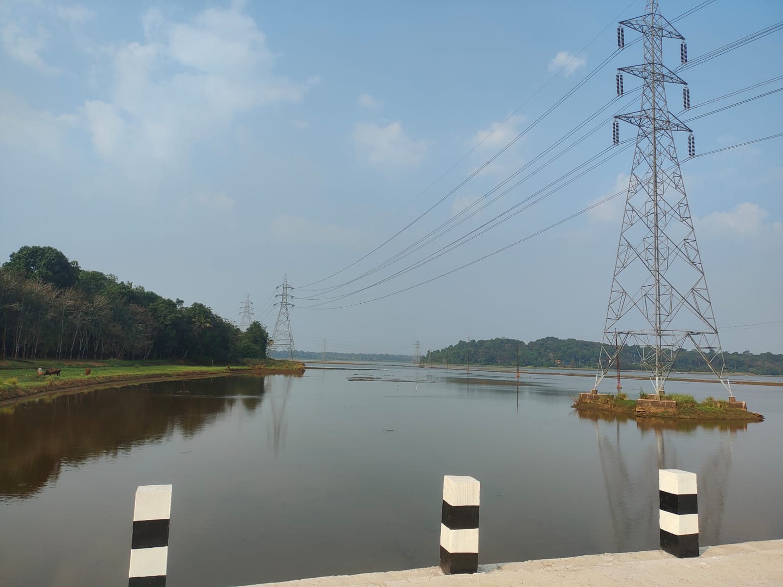 പെരിവേലിച്ചാൽ പുഞ്ചയിലെ നെൽ കർഷകർ ആശങ്കയിൽ