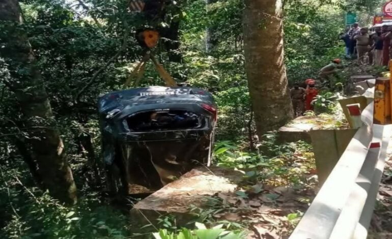 ശബരിമല തീർത്ഥാടകർ സഞ്ചരിച്ച കാർ കൊക്കയിലേക്ക് മറിഞ്ഞു