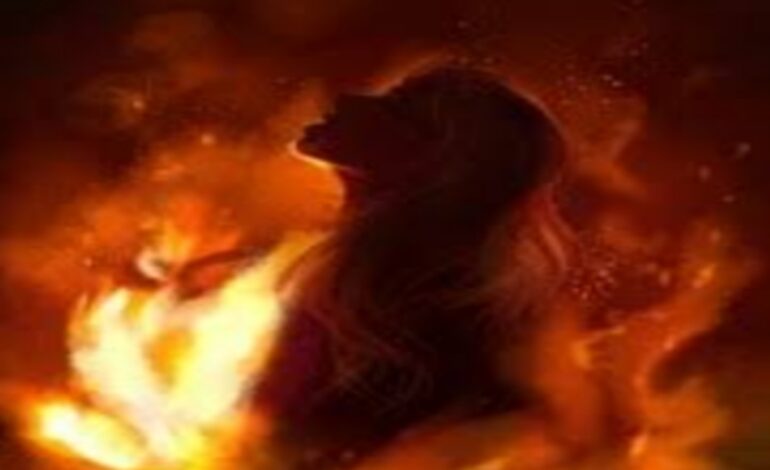 വീട് ജപ്തി :പാലക്കാട്‌ വീട്ടമ്മ തീകൊളുത്തി ആത്മഹത്യയ്ക്ക് ശ്രമിച്ചു.