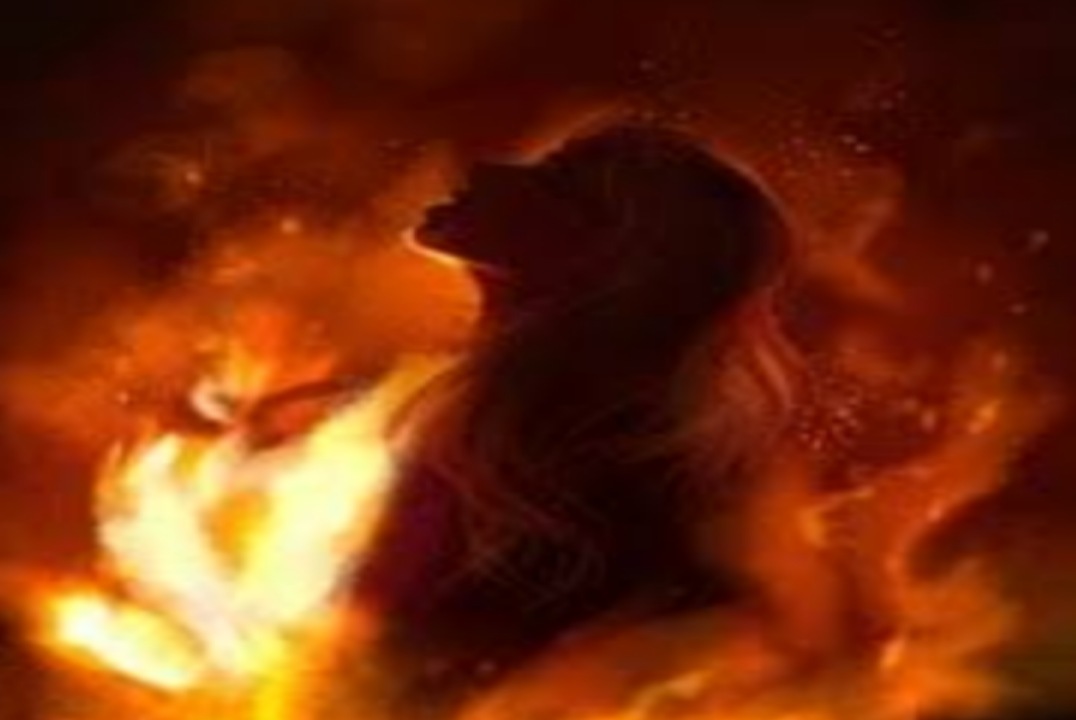 വീട് ജപ്തി :പാലക്കാട്‌ വീട്ടമ്മ തീകൊളുത്തി ആത്മഹത്യയ്ക്ക് ശ്രമിച്ചു.