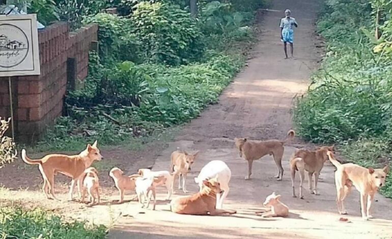 ചാരുമൂട്ടിൽ നാലാം ക്ലാസ് വിദ്യാർത്ഥിക്ക് പേവിഷബാധ.