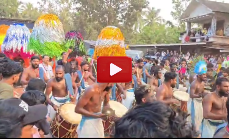 വർണവിസ്‌മയം തീർത്ത് ഞാങ്ങാട്ടിരി മുക്കാരത്തിക്കാവ് പൂരം.
