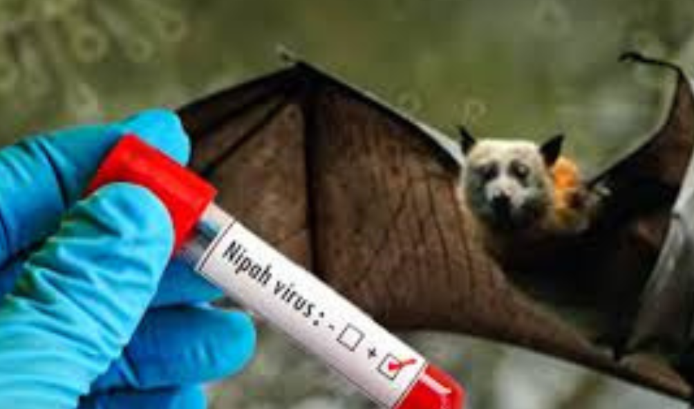 നിപയില്‍ ആശ്വാസം; ആറു പേരുടെ ഫലം നെഗറ്റിവ്