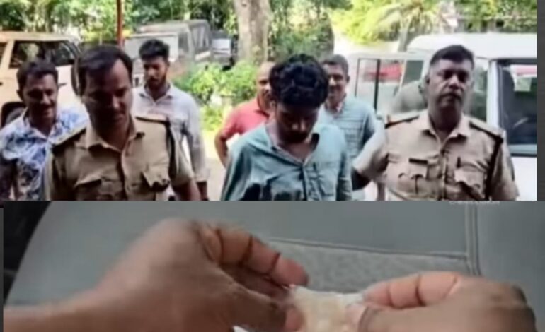 ചെങ്ങന്നൂരിൽ ഒന്നേകാൽ കിലോ കഞ്ചാവ് എക്സൈസ് പിടിച്ചെടുത്തു