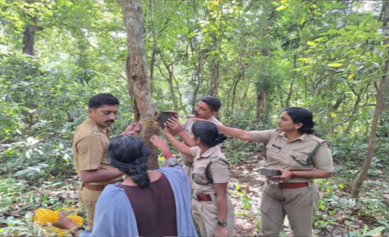 കാട്ടാനക്കൂട്ടത്തെ നിരീക്ഷിക്കാന്‍ രണ്ട് കാമറകള്‍ കൂടി