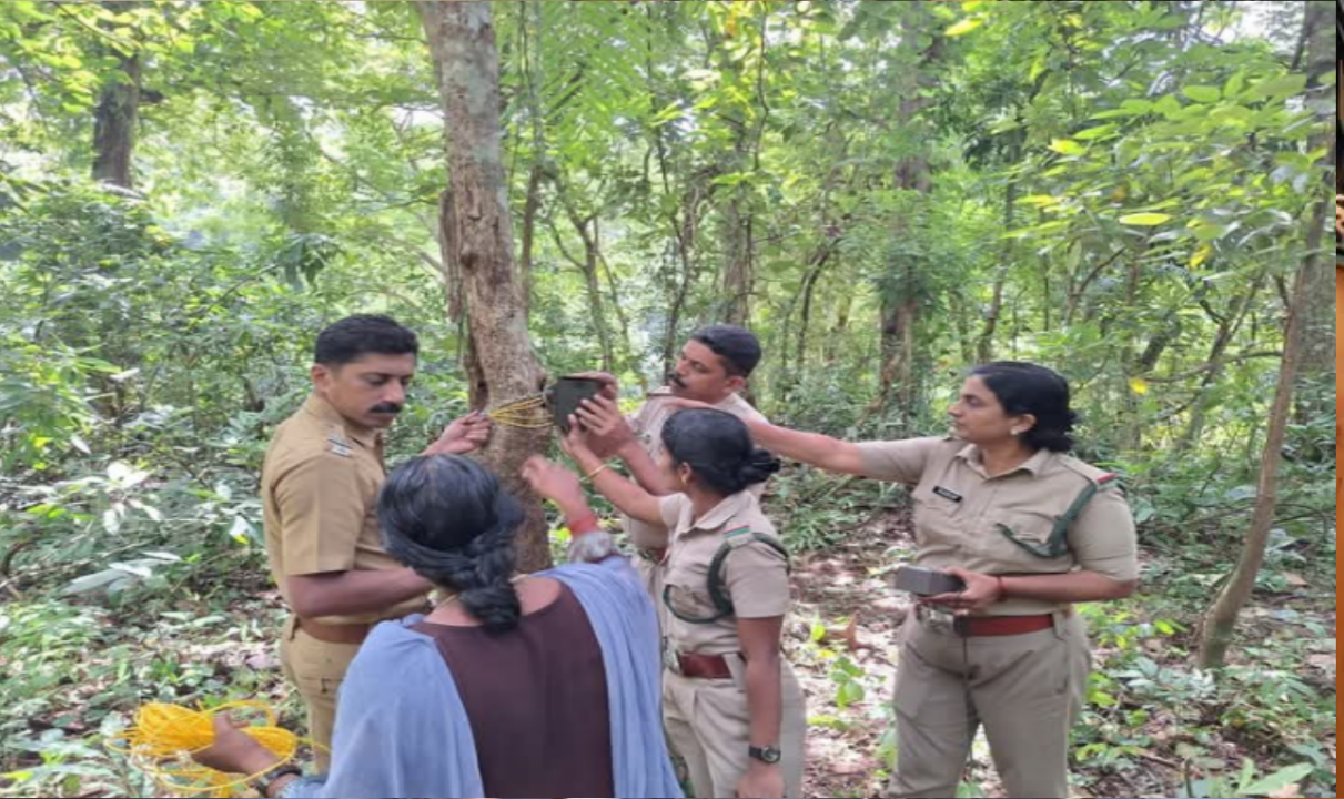 കാട്ടാനക്കൂട്ടത്തെ നിരീക്ഷിക്കാന്‍ രണ്ട് കാമറകള്‍ കൂടി