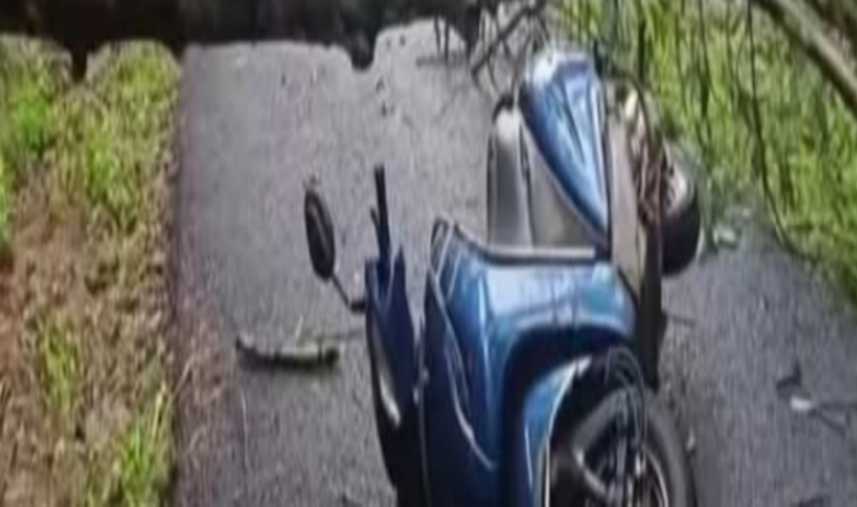 കാറ്റിൽ മരം വീണ് തോട്ടം തൊഴിലാളി മരിച്ചു