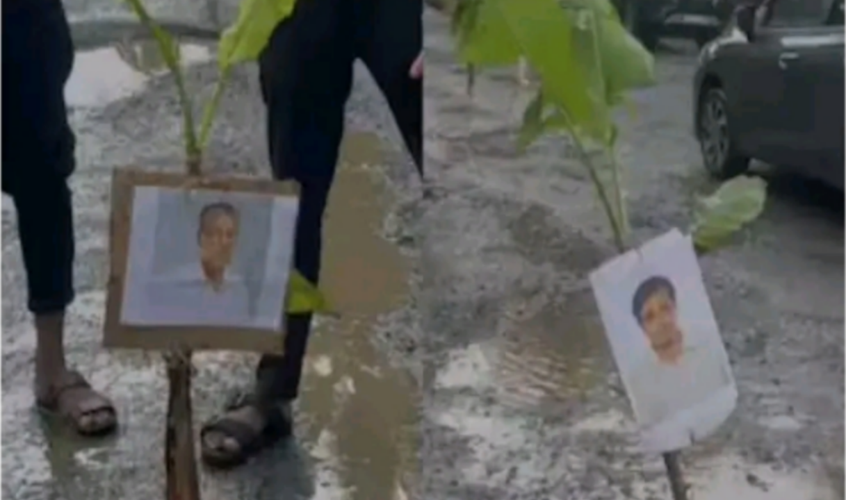 റോഡിലെ കുഴി അപകടക്കെണിയാകുന്നു :പാലക്കാട് മുഖ്യമന്ത്രിയുടെയും മുഹമ്മദ് റിയാസിന്റെയും ഫോട്ടോകൾ പതിച്ച വാഴകൾ റോഡിലെ കുഴിയിൽ നട്ട് പ്രതിഷേധം