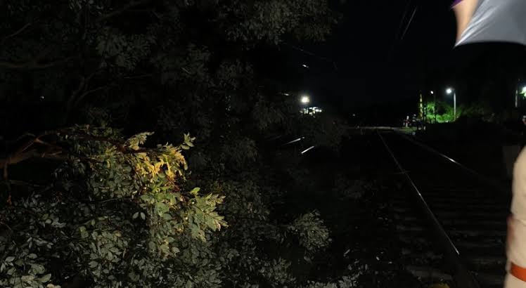 ചെങ്ങന്നൂർ മഠത്തുംപടിക്ക് സമീപം റയിൽവെ ലൈനിൽ മരം വീണു. ട്രയിനുകൾ വൈകുന്നു