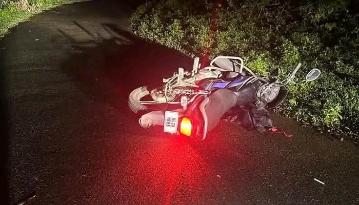 ആനയെ കണ്ട് ഭയന്നു:  പീരുമേട് ഗസ്റ്റ് ഹൗസ് ജീവനക്കാരന് ബൈക്കിൽ നിന്നും വീണ് പരുക്ക്