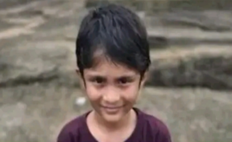 പട്ടാമ്പിയിൽ അമ്മയുടെ മുന്നിൽ സ്കൂൾ ബസിടിച്ച് 6 വയസുകാരന് ദാരുണാന്ത്യം