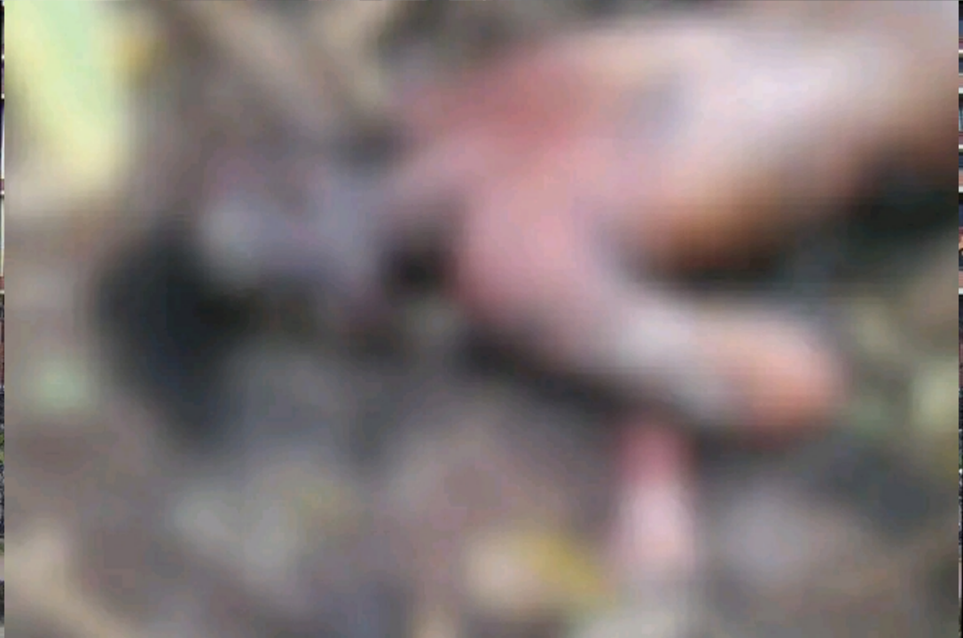 രാജാക്കാട് ഏലത്തോട്ടത്തിൽ അഴുകിയ നിലയിൽ മൃതദേഹം കണ്ടെത്തി