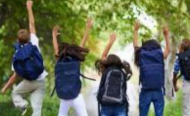 കനത്ത മഴ തുടരുന്നു: എറണാകുളം, ഇടുക്കി കോട്ടയം, ജില്ലകൾക്ക് നാളെ അവധി