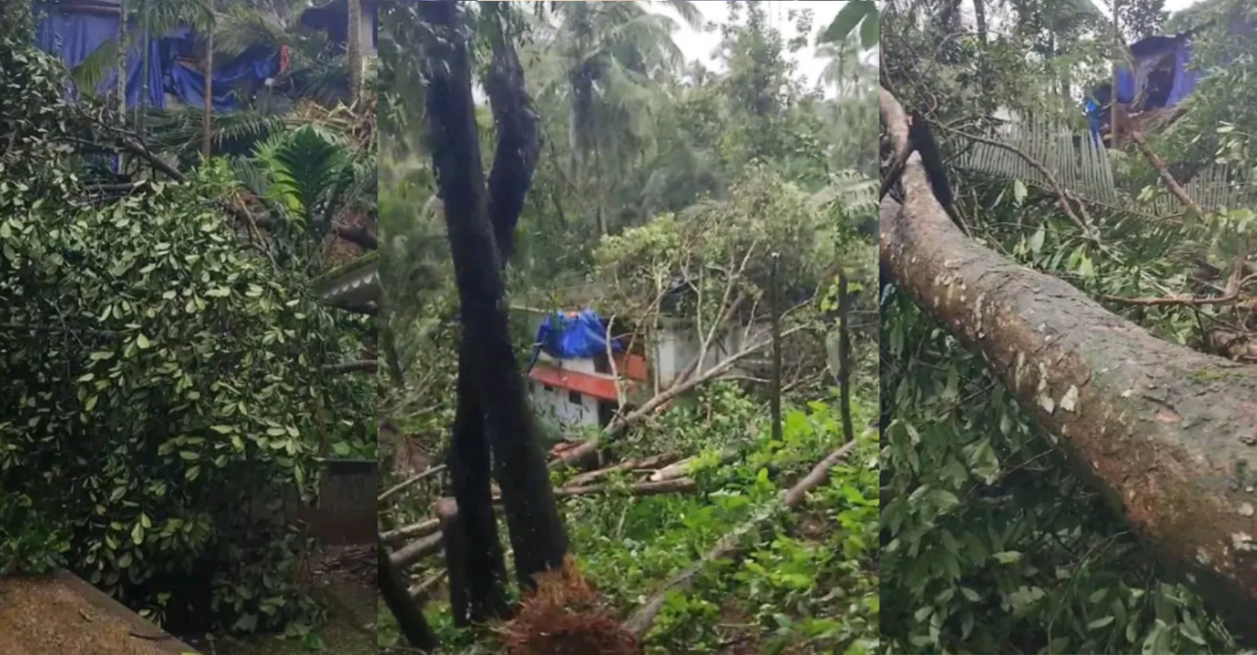 ശക്തമായ കാറ്റ്:   കണ്ണമംഗലത്ത് നിരവധി വീടുകൾ തകർന്നു
