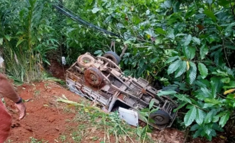 അടിമാലിയിൽ പിക്കപ്പ് വാൻ മറിഞ്ഞ് ഇതരസംസ്ഥാന തൊഴിലാളിക്ക് പരുക്ക്