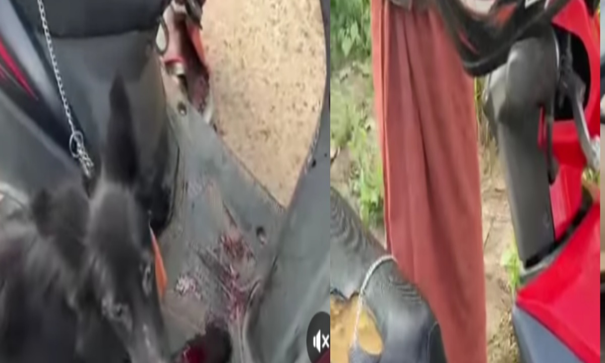 രക്തത്തിൽ കുളിച്ച് നായ :ത്രിശൂരിൽ മദ്യലഹരിയിൽ  സ്കൂട്ടറിനു പിന്നിൽ നായയെ ചങ്ങല കൊണ്ട് കെട്ടി വലിച്ച് യുവാവ്