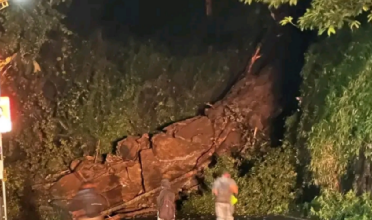 വയനാട് ചുരത്തിൽ മണ്ണിടിച്ചിൽ: ഗതാഗതം പൂർണമായും മുടങ്ങി