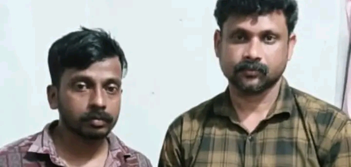 പെരുമ്പാമ്പിനെ കൊന്ന് കറിവെച്ച് കഴിച്ചു; രണ്ടുപേർ അറസ്റ്റിൽ