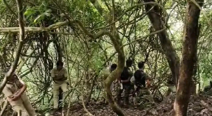 ആദിവാസി സ്ത്രീയുടെ മൃതദേഹം കുഴിച്ചിട്ട നിലയിൽ കണ്ടെത്തി :സംഭവം അട്ടപ്പാടിയിൽ