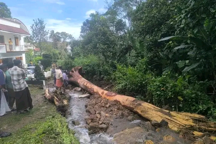 കനത്തമഴയിൽ കട്ടപ്പനയിലെ ഉരുൾ പൊട്ടലിൽ റോഡുകളും കൃഷിയിടങ്ങളും ഒലിച്ചു പോയി
