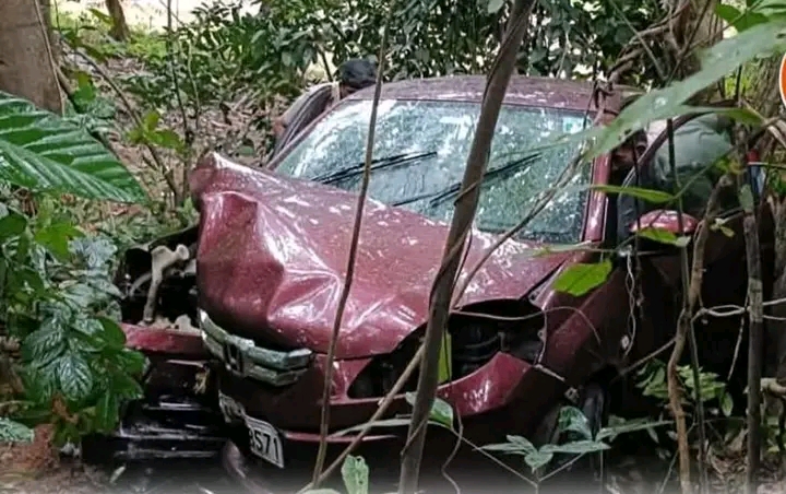 തൊടുപുഴയ്ക്ക് സമീപം കാർ താഴ്ച്ചയിലേക്ക് മറിഞ്ഞു: രണ്ട് പേർക്ക് ദാരുണാന്ത്യം