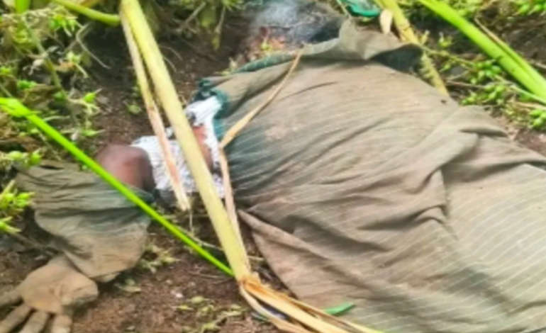 ഇടുക്കിയിൽ കാട്ടാന ആക്രമണത്തിൽവയോധികന് ദാരുണാന്ത്യം