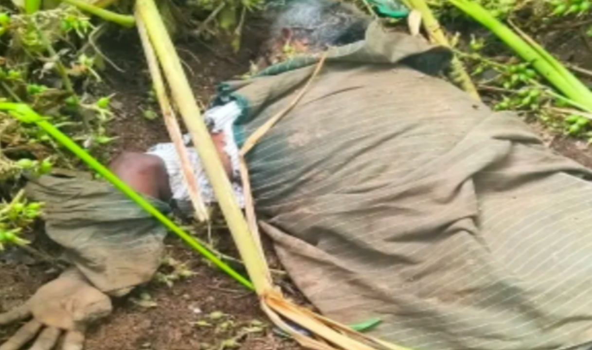 ഇടുക്കിയിൽ കാട്ടാന ആക്രമണത്തിൽവയോധികന് ദാരുണാന്ത്യം