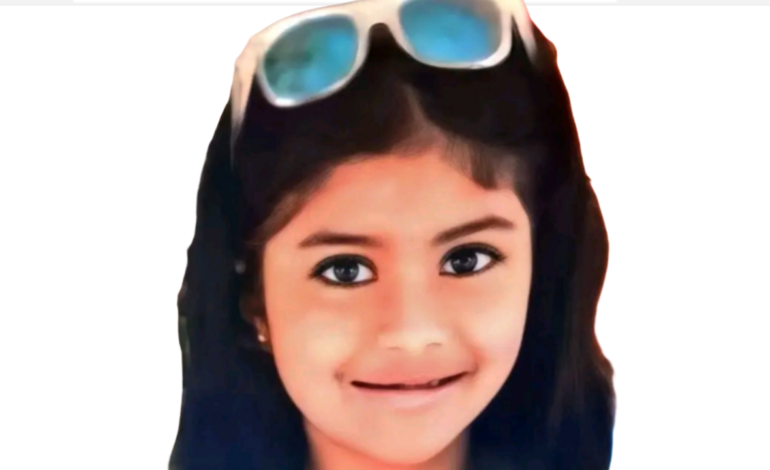 തേനീച്ച കൂട്ടത്തിന്റെ ആക്രമണം: 7 വയസുകാരിക്ക് ദാരുണാന്ത്യം