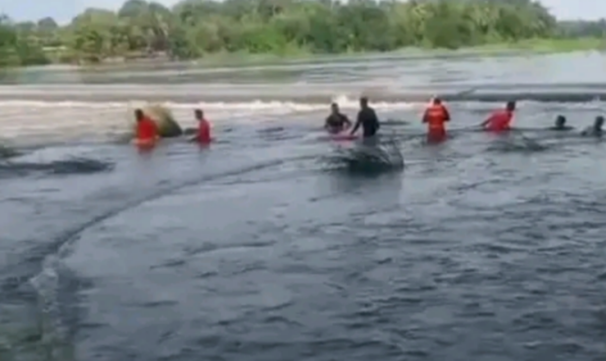 പാലക്കാട്‌ വിദ്യാർത്ഥികൾ രണ്ട്  ഒഴുക്കിൽപെട്ടു: ഒരാളെ രക്ഷപ്പെടുത്തി, രണ്ടാമനായി തിരച്ചിൽ തുടരുന്നു