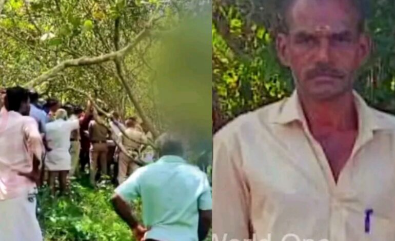 വസ്തുവിന്റെ തണ്ടപ്പേർ മാറ്റിക്കിട്ടാൻ ആറ് മാസമായി വില്ലേജ് ഓഫീസിൽ കയറിയിറങ്ങി :പാലക്കാട്‌ കർഷകൻ ആത്മഹത്യ ചെയ്തു