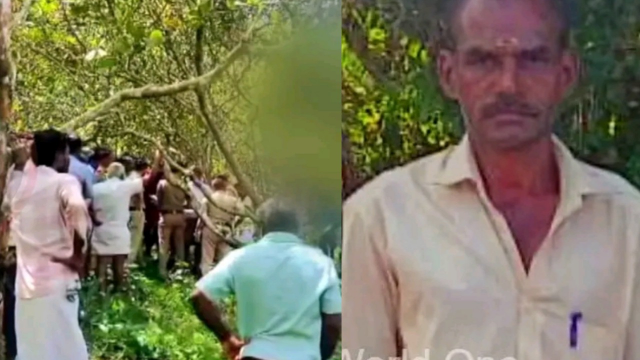 വസ്തുവിന്റെ തണ്ടപ്പേർ മാറ്റിക്കിട്ടാൻ ആറ് മാസമായി വില്ലേജ് ഓഫീസിൽ കയറിയിറങ്ങി :പാലക്കാട്‌ കർഷകൻ ആത്മഹത്യ ചെയ്തു