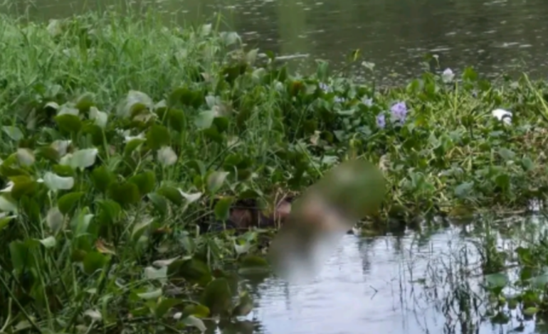 പുഴയിൽ യുവാവിൻറെ മൃതദേഹം കണ്ടെത്തി.