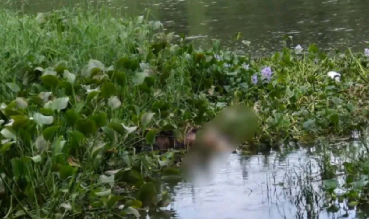 പുഴയിൽ യുവാവിൻറെ മൃതദേഹം കണ്ടെത്തി.