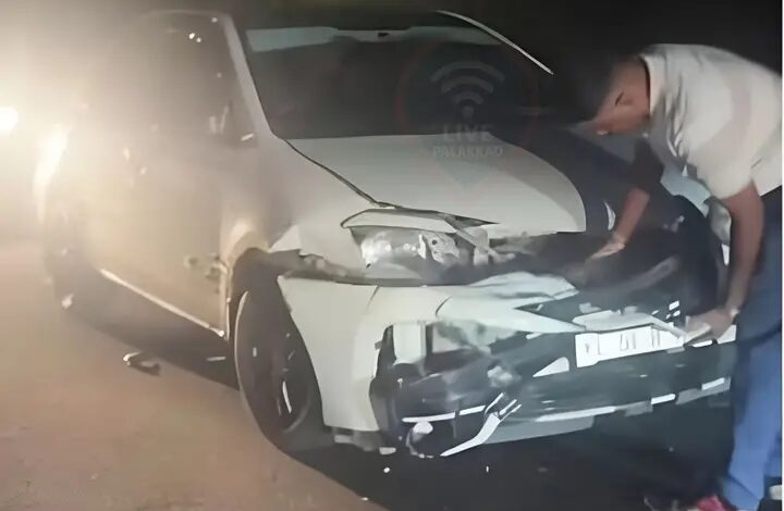 കാട്ടുപന്നി കുറുകെ ചാടി;  കാർ അപകടത്തിൽപെട്ടു