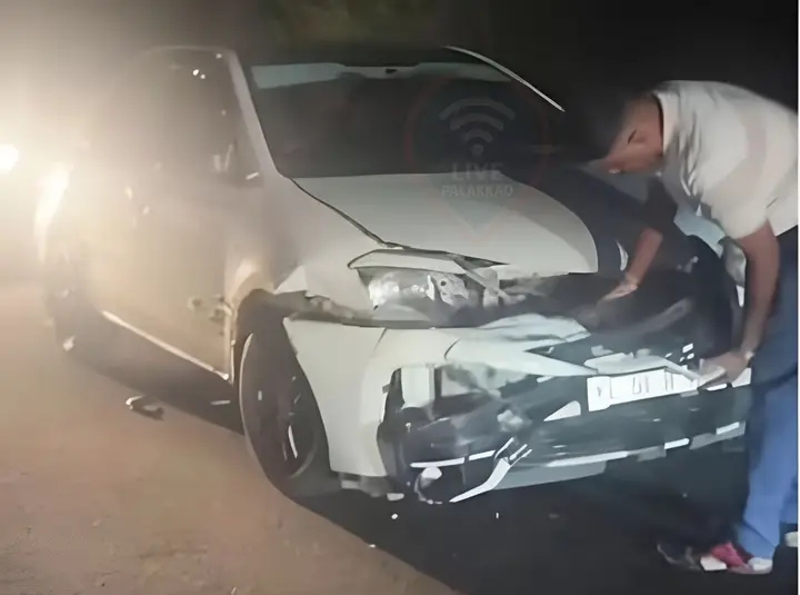 കാട്ടുപന്നി കുറുകെ ചാടി;  കാർ അപകടത്തിൽപെട്ടു