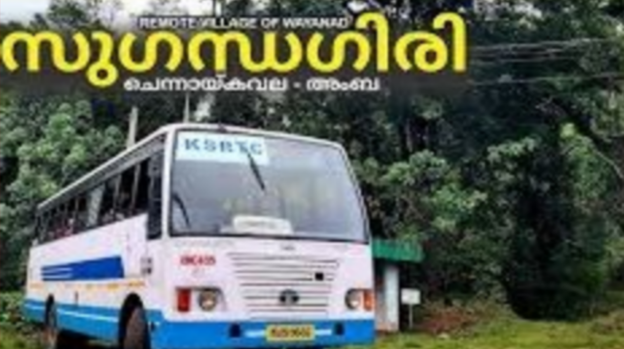 സുഗന്ധഗിരി അമ്പതേക്കറിലെ റോഡുകളും പാലങ്ങളും പുനര്‍നിര്‍മ്മിക്കും