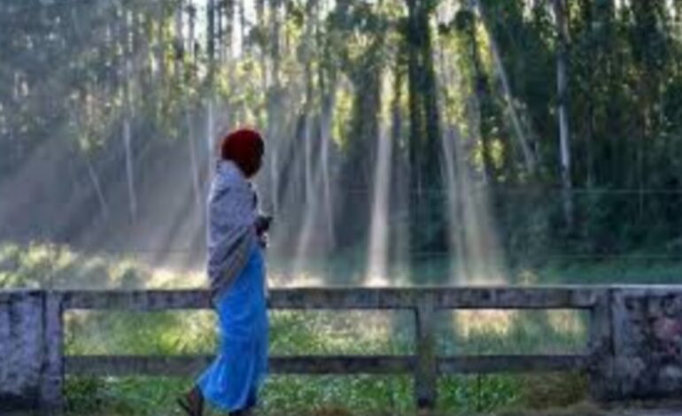 കേരളത്തിന് തണുക്കുന്നു:20ല്‍ താഴെഏറ്റവും തണുപ്പേറിയ ദിനം ഇന്നെന്ന് റിപ്പോര്‍ട്ട്.