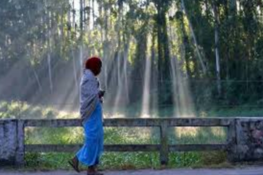 കേരളത്തിന് തണുക്കുന്നു:20ല്‍ താഴെഏറ്റവും തണുപ്പേറിയ ദിനം ഇന്നെന്ന് റിപ്പോര്‍ട്ട്.